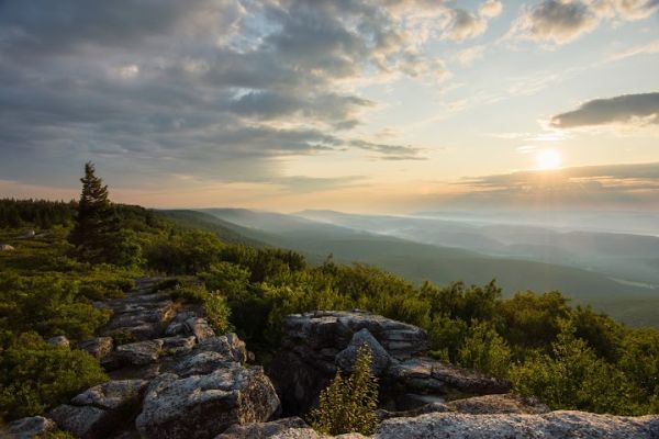 Dolly Sods Wilderness