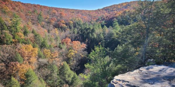 Sleepy Creek Wildlife Management Area