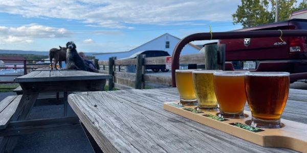 Hawksbill Brewing Company