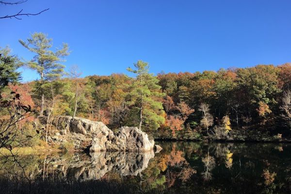 Trout Pond Recreation Area