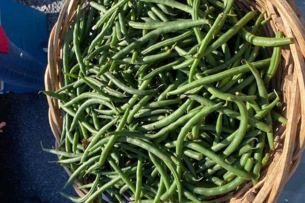 Bryce Farmers’ Market