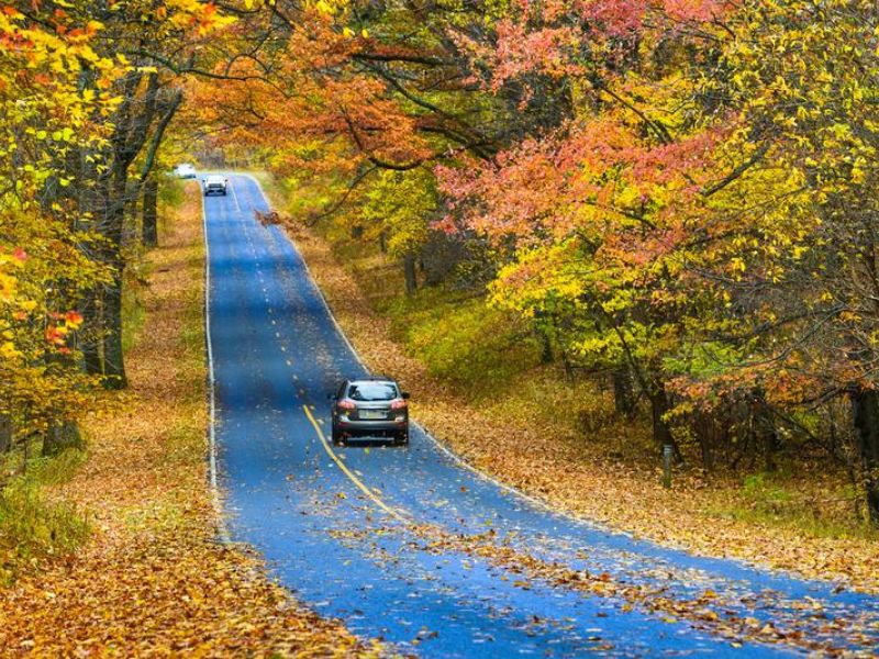 wp-content/uploads/2025/01/asphalt-road-with-autumn-foliage-orig-1.jpg