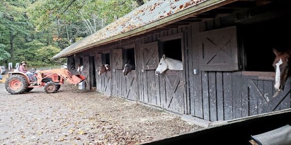 Skyland Stables