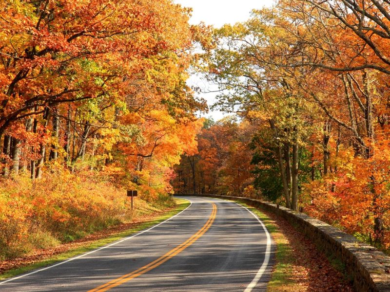 wp-content/uploads/2025/08/Best-Things-To-Do-In-Shenandoah-National-Skyline-Drive.jpg