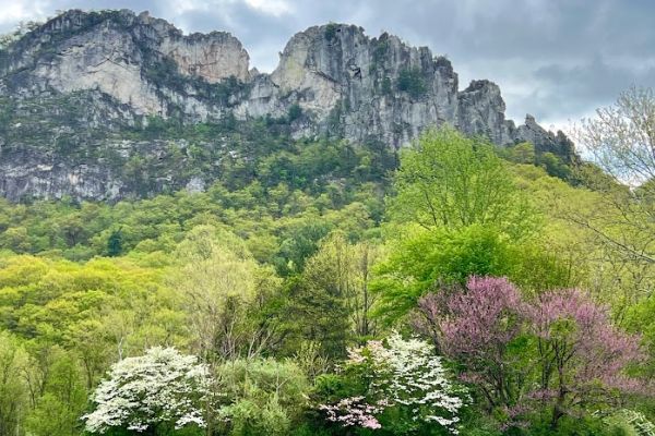 Seneca Rocks