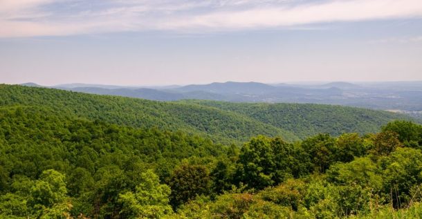 wp-content/uploads/2024/06/Shenandoah-National-Park-Skyline-Drive-e1719379174637.jpg