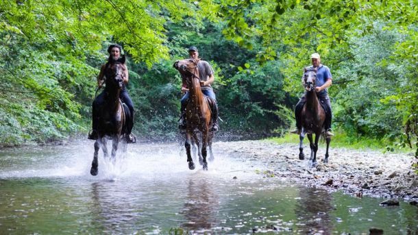 wp-content/uploads/2024/08/horse-riding-on-the-river-orig-1.jpg