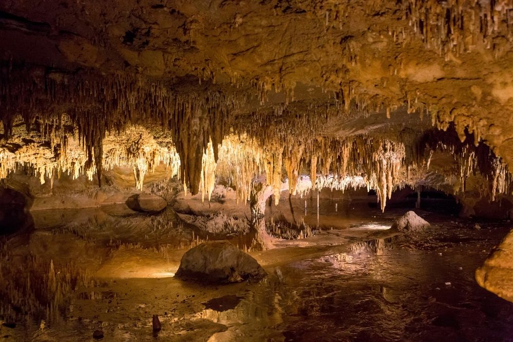 A First Timer’s Guide to Luray Caverns Featured Image