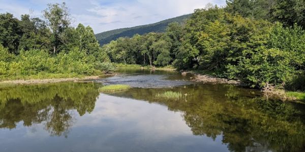 Cacapon River