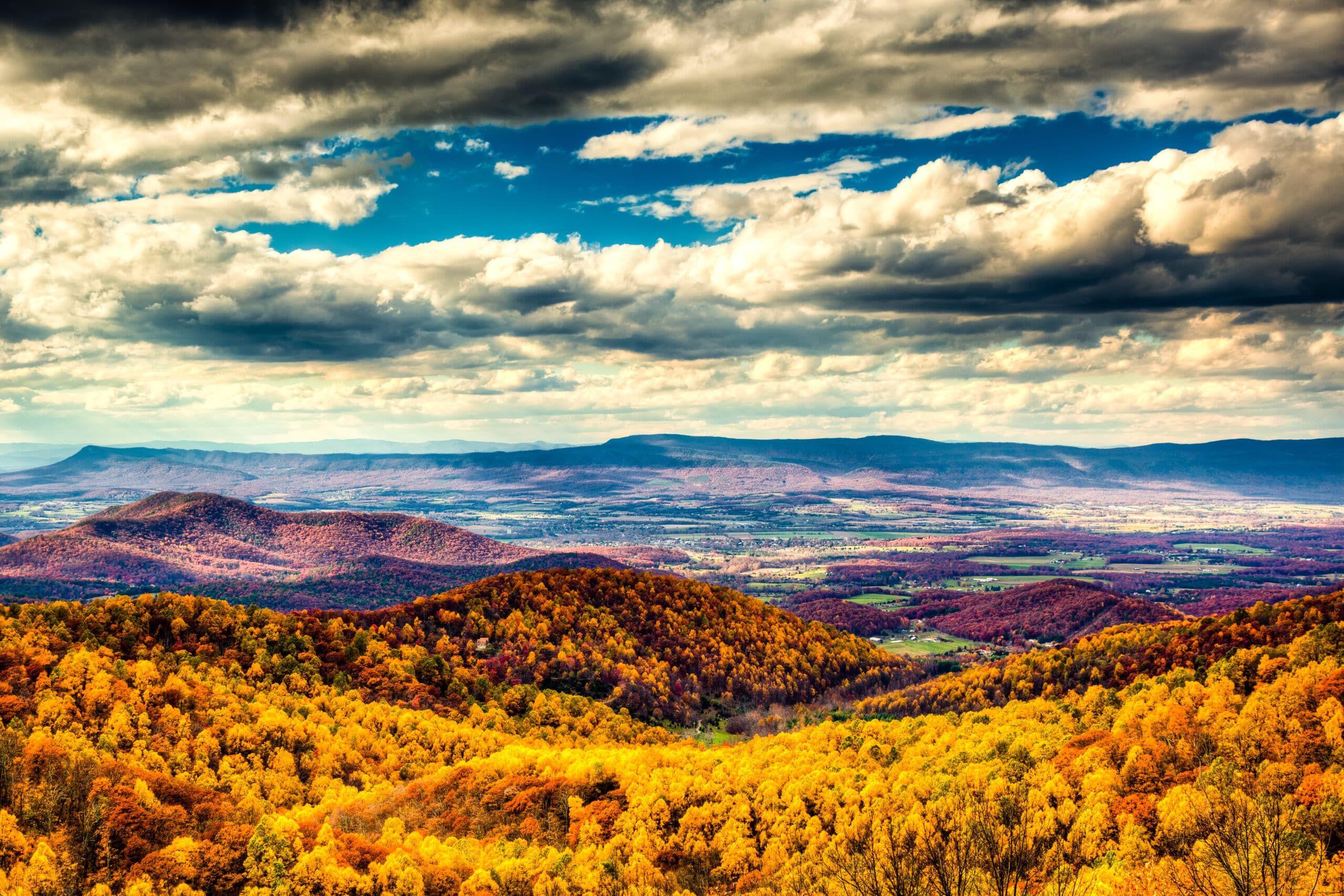 Fall in Shenandoah Valley: What to Expect for Stunning Foliage, Festivals, and Outdoor Adventures Featured Image