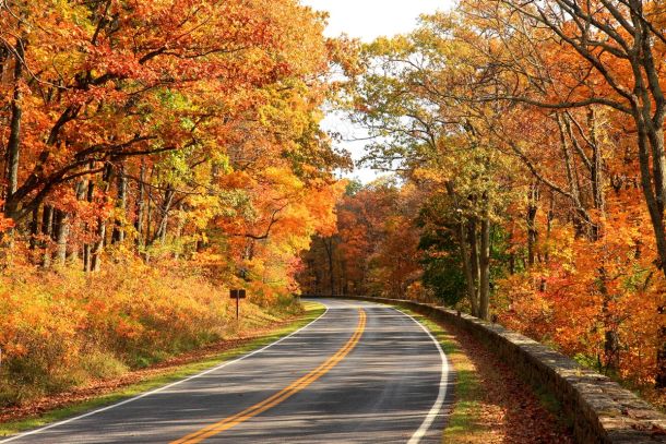 wp-content/uploads/2025/08/Best-Things-To-Do-In-Shenandoah-National-Skyline-Drive.jpg