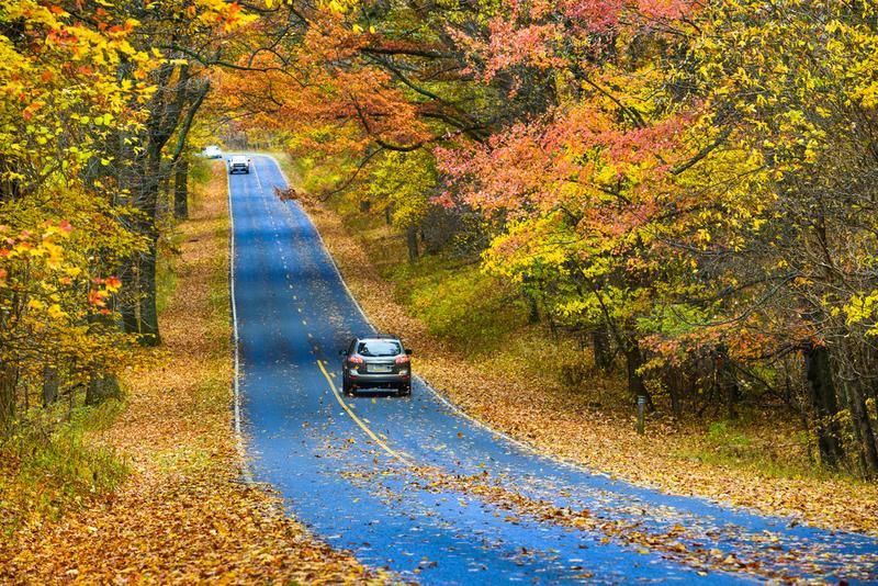 Very Best Time to Visit Shenandoah National Park Featured Image