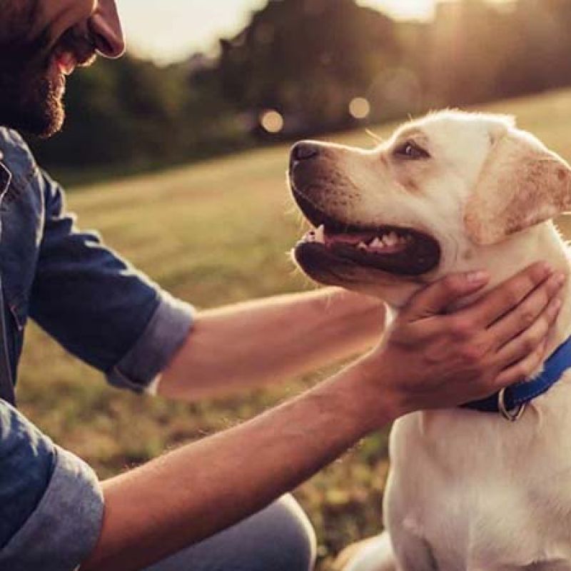 a man petting a friendly dog