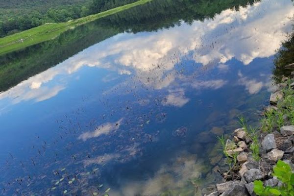 Warden Lake Wildlife Management Area