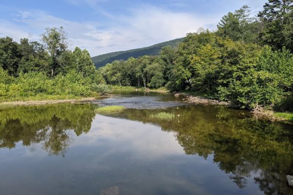 Cacapon River