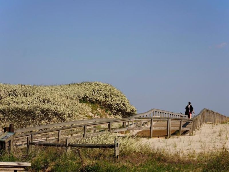 wp-content/uploads/2024/07/carefully-marked-trails-guide-visitors-through-the-natural-dunes-orig-1.jpg