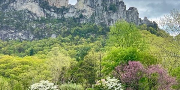 Seneca Rocks