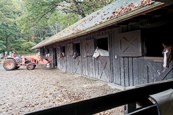 Skyland Stables