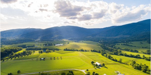 King Family Vineyards