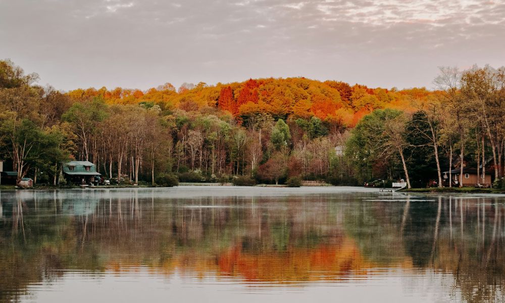 lake during fall