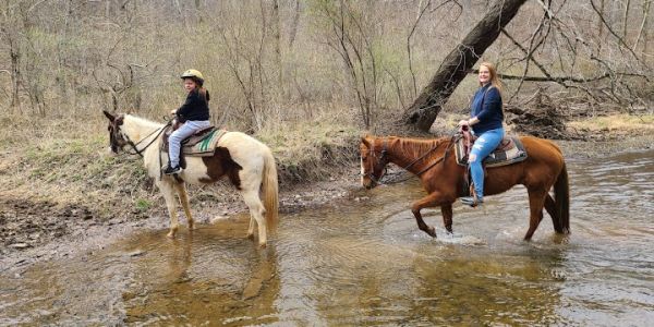 Rocking S Ranch