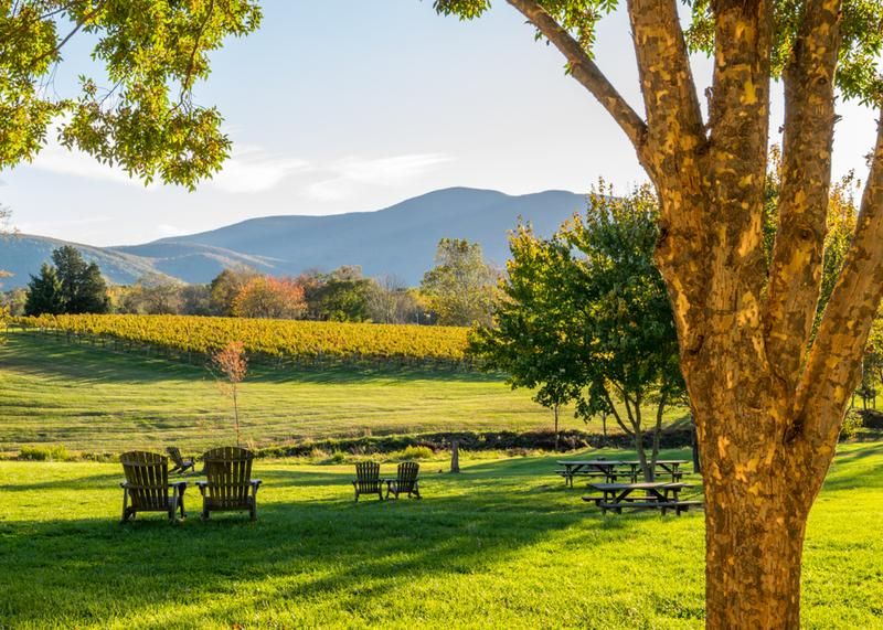 10 Stunning Wineries in the Shenandoah Valley Featured Image
