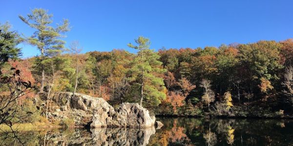 Trout Pond Recreation Area