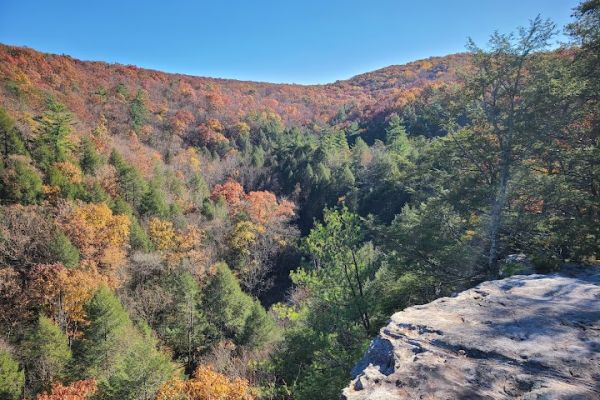 Sleepy Creek Wildlife Management Area