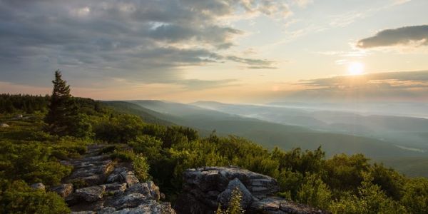 Dolly Sods Wilderness