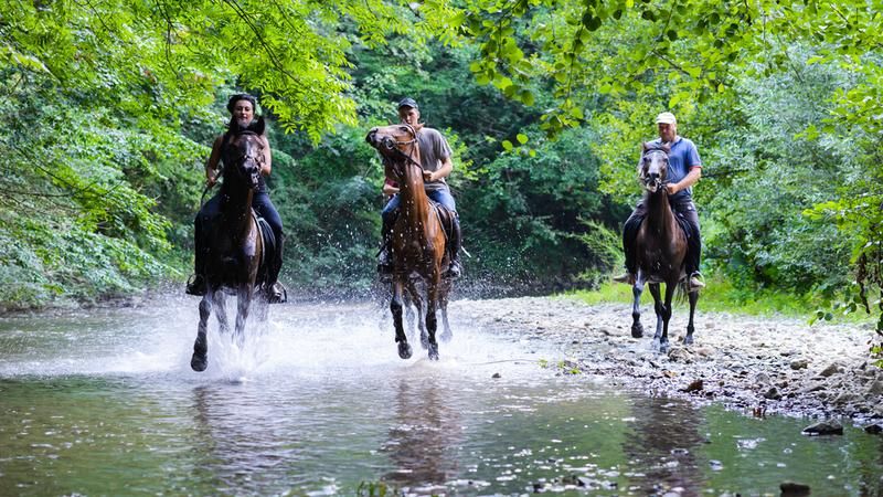 A Traveler’s Guide to Lost River, WV Featured Image