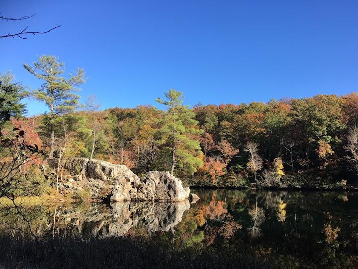 Trout Pond Recreation Area