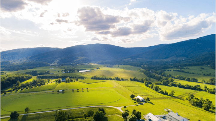 King Family Vineyards