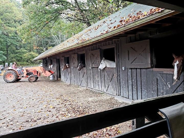 Skyland Stables