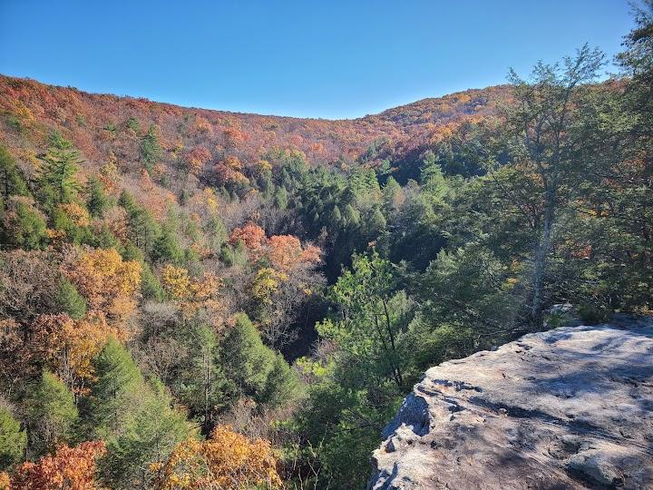 Sleepy Creek Wildlife Management Area