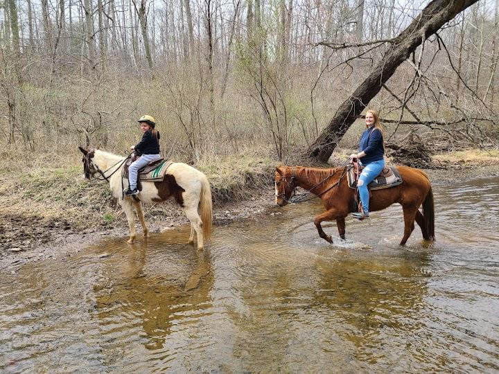 Rocking S Ranch