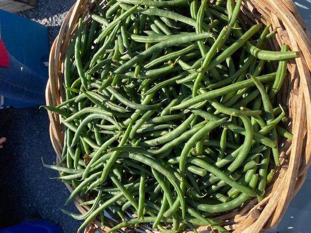 Bryce Farmers’ Market