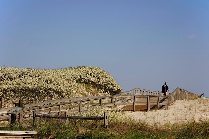 wp-content/uploads/2024/07/carefully-marked-trails-guide-visitors-through-the-natural-dunes-orig-1.jpg