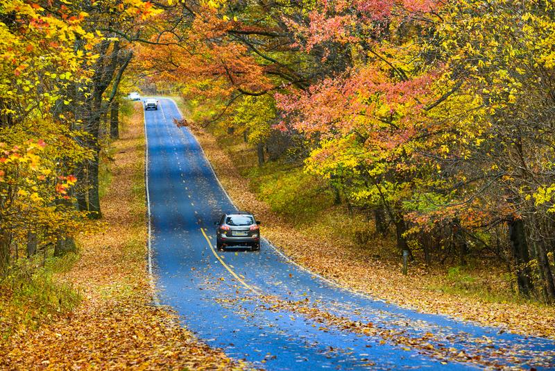wp-content/uploads/2025/01/asphalt-road-with-autumn-foliage-orig-1.jpg