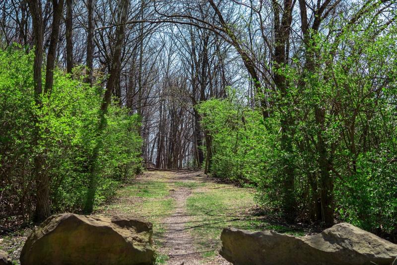 5 Best Hiking Trails at Lost River State Park, WV Featured Image
