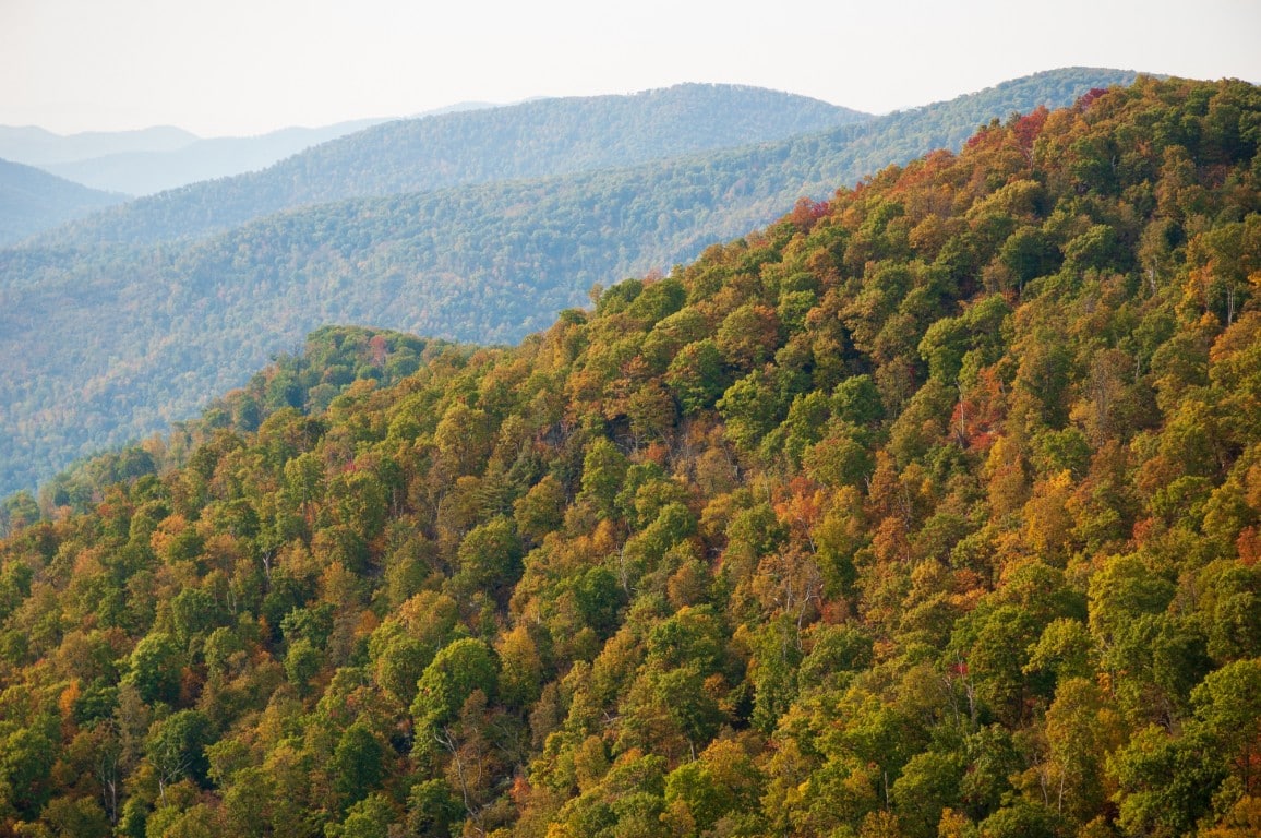 wp-content/uploads/2026/08/shutterstock-shenandoah-fall-colors-stay-blue-maple.jpg