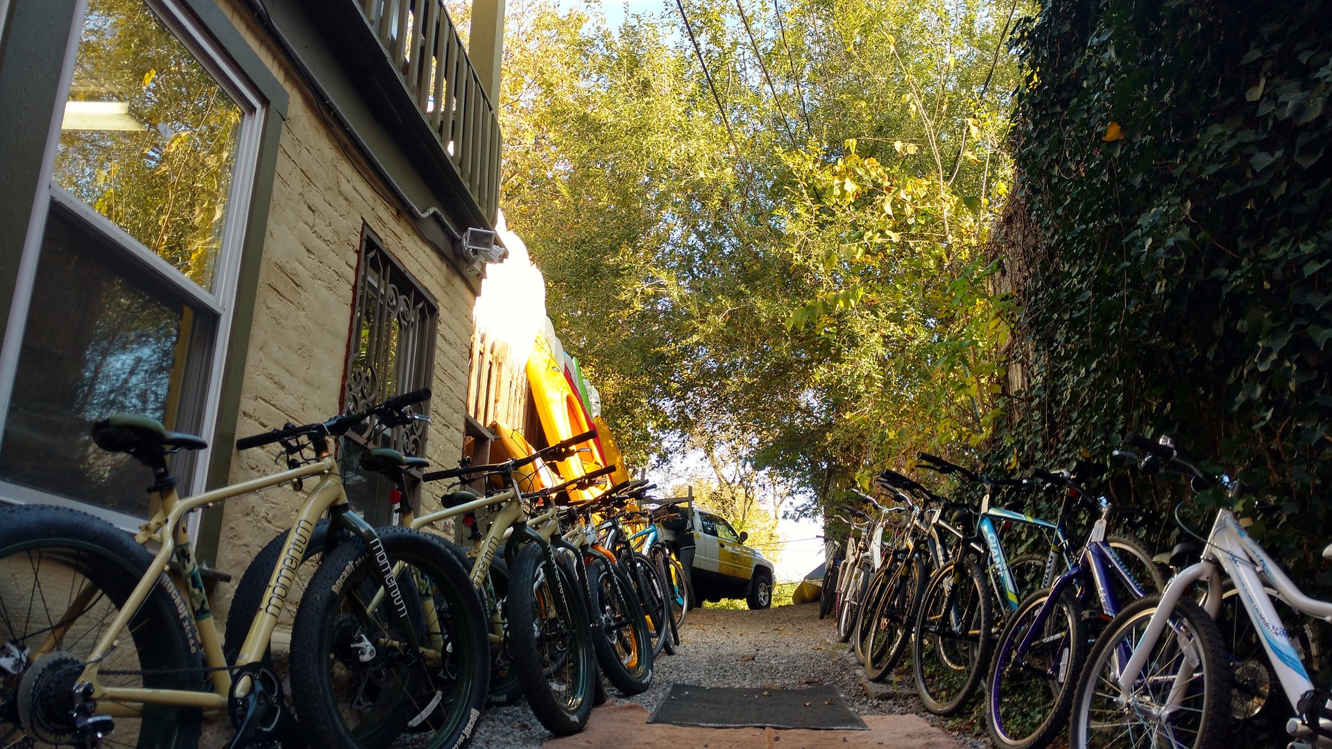 Rental bikes lined up outside Shepherdstown Pedal & Paddle in autumn